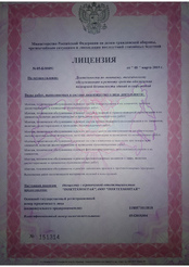 Лицензия 1